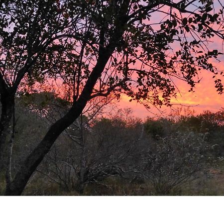Lion King Villa Marloth Park Eksteriør billede