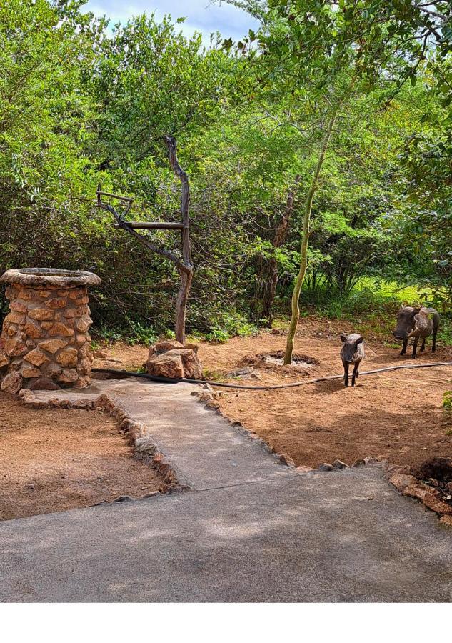 Lion King Villa Marloth Park Eksteriør billede