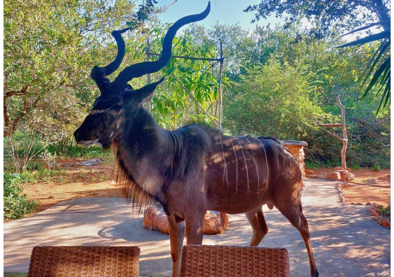 Lion King Villa Marloth Park Eksteriør billede
