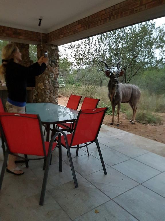 Lion King Villa Marloth Park Eksteriør billede